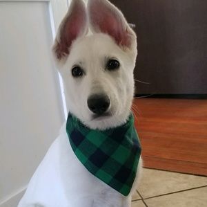 Meet your Posher, Kaya